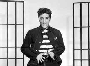 Guitarrista de Elvis Presley morre aos 84 anos, nos Estados Unidos