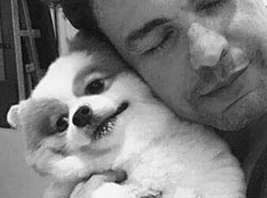 Zezé Di Camargo lamenta a morte de sua cachorrinha: Neste momento só lágrimas