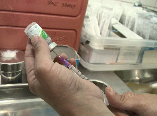 Vacinação contra gripe será agendada pela internet em Vitória
