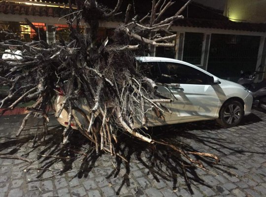 Susto! Árvore cai e atinge carro em Vila Velha