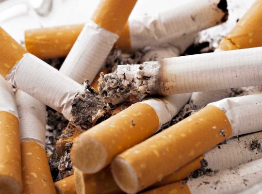  Brasil é exemplo para o mundo no combate ao tabagismo