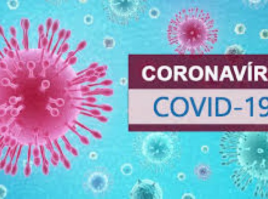 Boas notícias no combate ao coronavírus: Caso grave curado e rede da USP