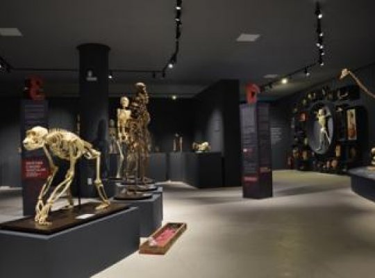 Ufes inaugura Museu de Ciências da Vida, no campus de Goiabeiras