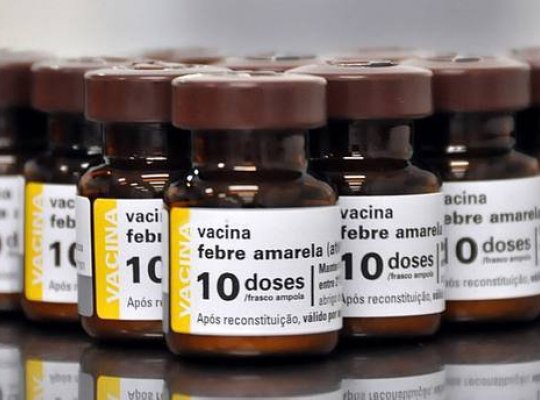Ministério da Saúde estuda vacinar todas as crianças do País contra febre amarela