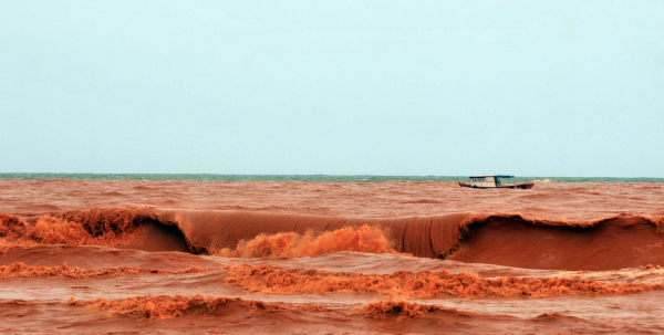 Devido à lama tóxica, turistas desistem do verão no Espírito Santo