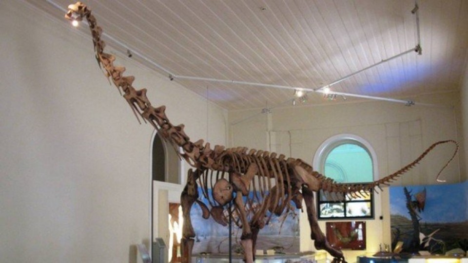 Museu Nacional tem fragmentos de dinossauro encontrados nos escombros